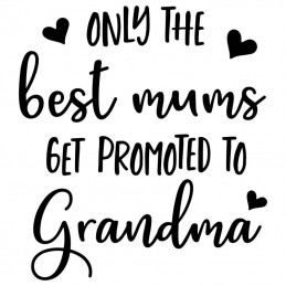 Family Bundle