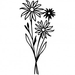 Wildflower Bundle