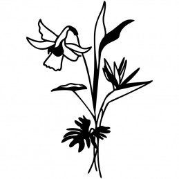 Wildflower Bundle