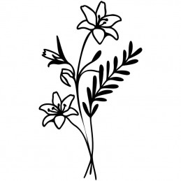 Wildflower Bundle