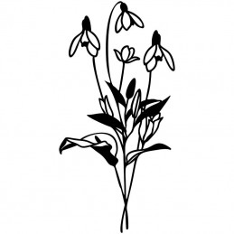 Wildflower Bundle