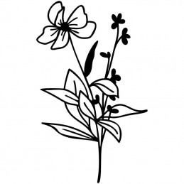 Wildflower Bundle