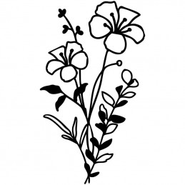 Wildflower Bundle