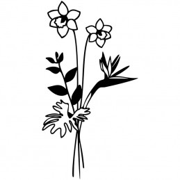 Wildflower Bundle