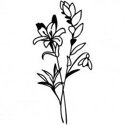 Wildflower Bundle
