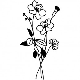 Wildflower Bundle